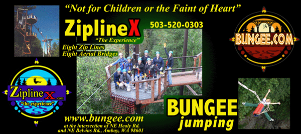 Bungee.com Newsletter Ad