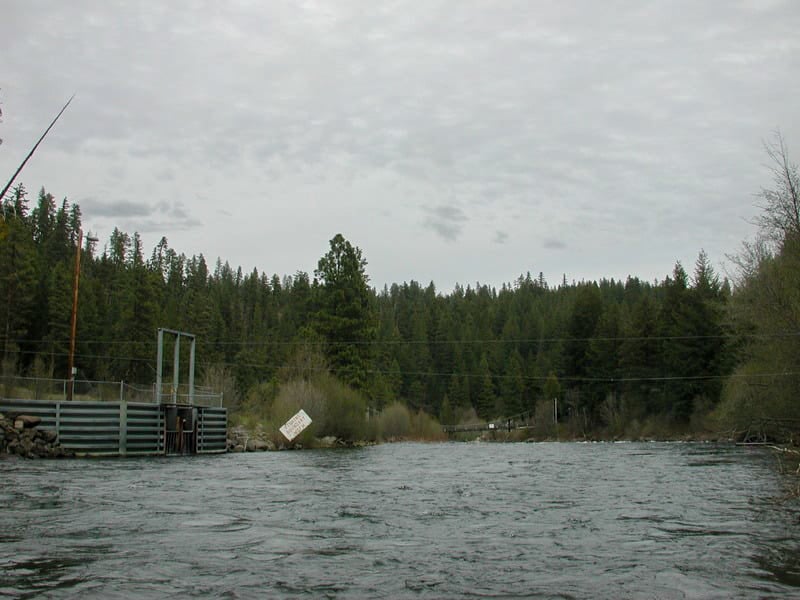 May_2025_AWA_Klickitat_River_Hatchery_Clopsure.jpg