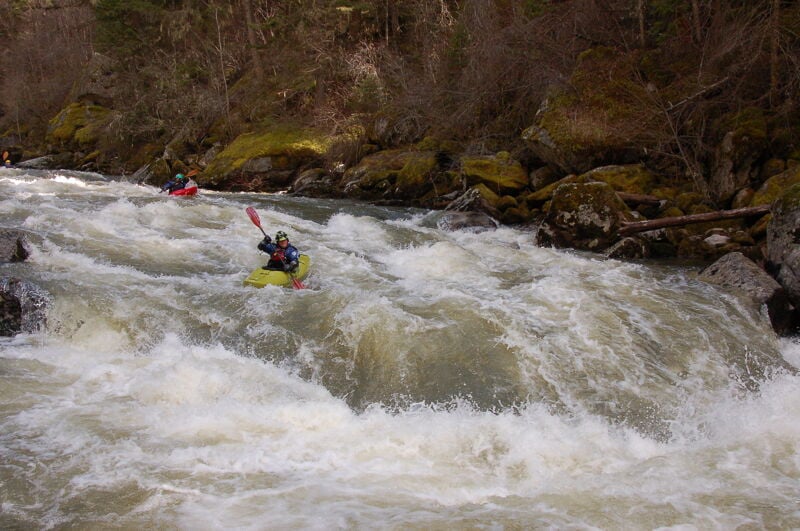 american-whitewater-jan-2025-forest-service-abandons-idaho.jpg